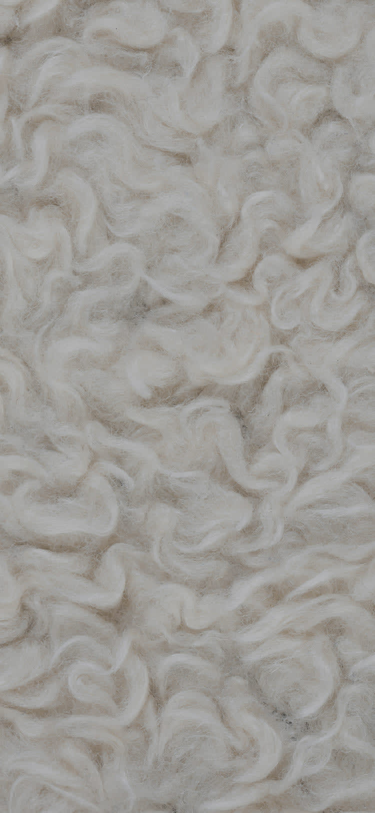 Merino Wool