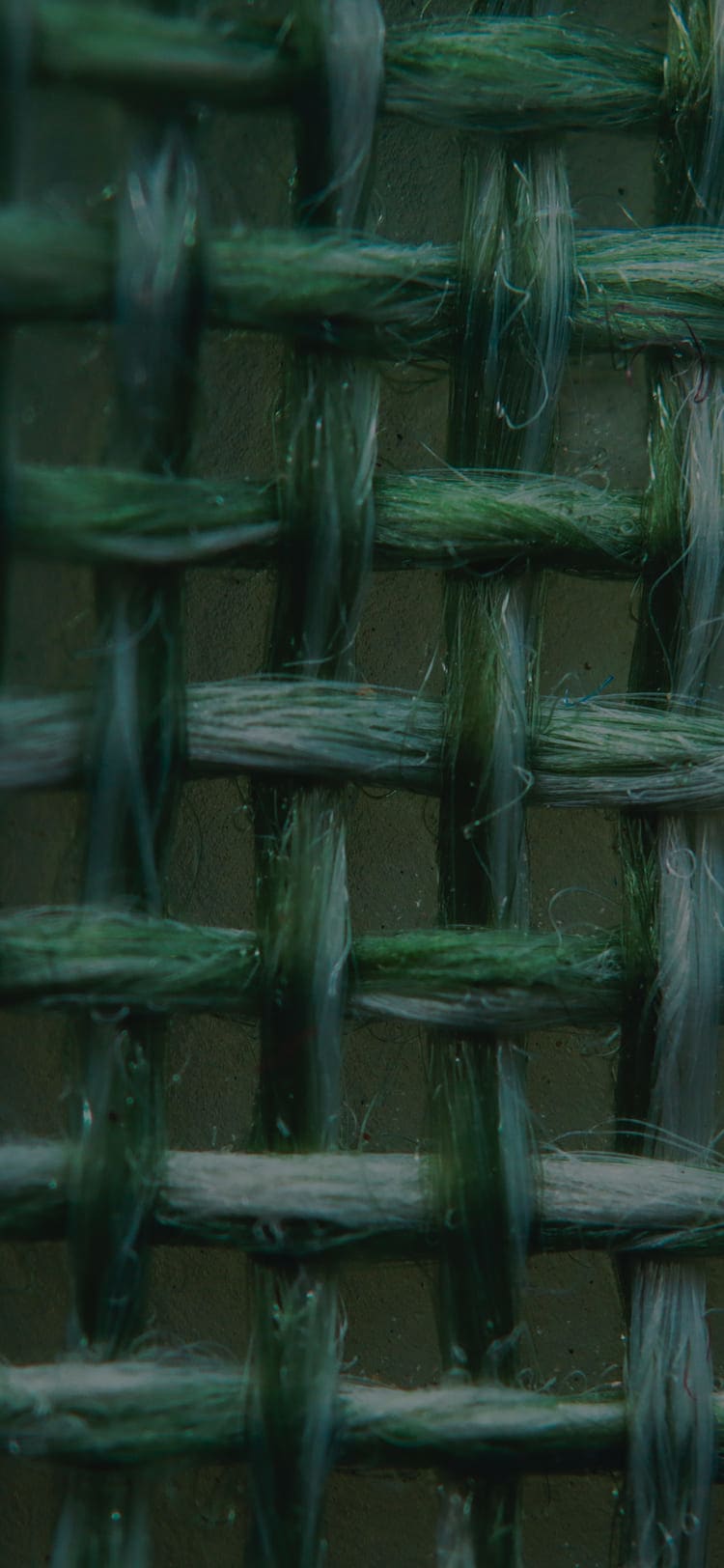 Plant-based elastane