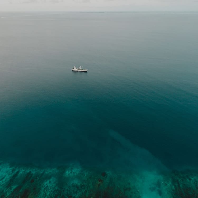 Image of our product were shipped by sea