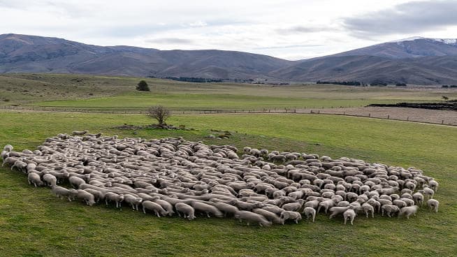 Enviromental sustainability