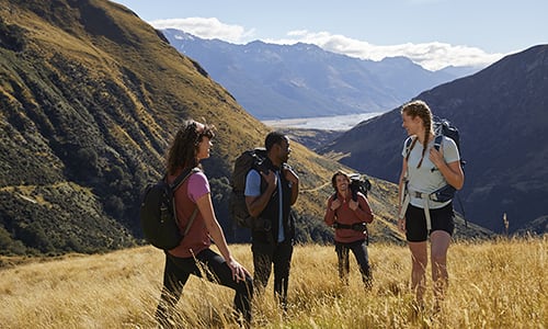 Group of men and women wearing hiking packs, hiking up a mountain.