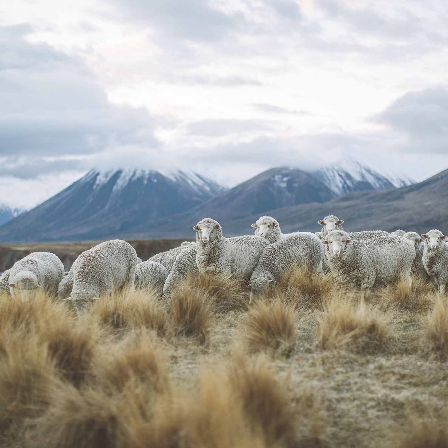 Sustainable Merino Wool Clothing | icebreaker® Sustainable Merino Wool Clothing | icebreaker®