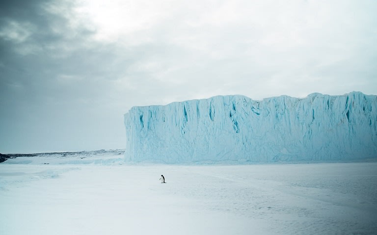 Antarctique, lieu d’extrêmes | icebreaker