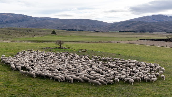 Enviromental sustainability