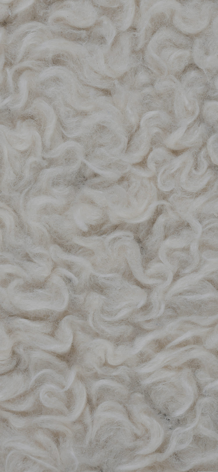 Merino Wool
