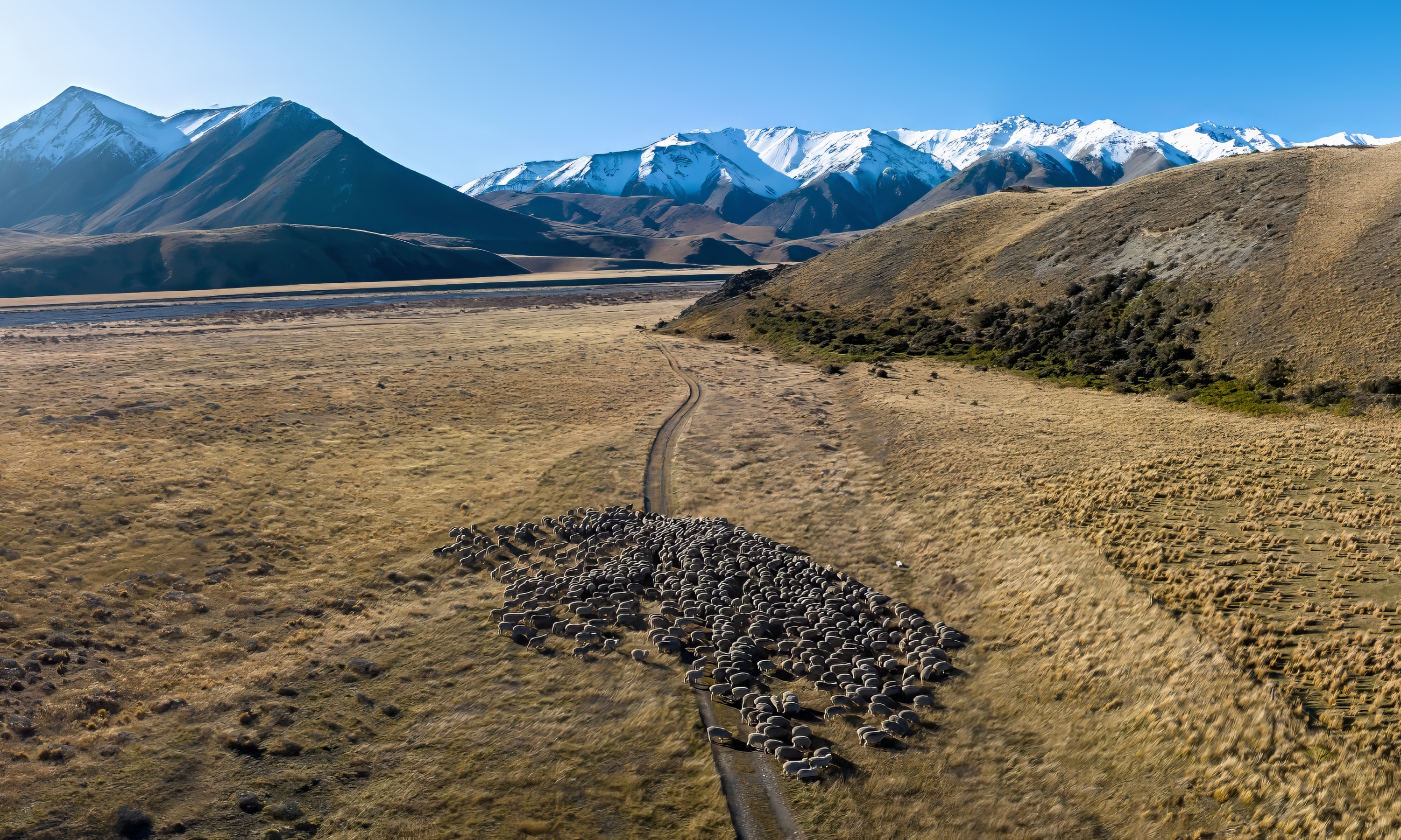 Move to Natural™ – The Story Behind icebreaker’s Sustainable Vision   | icebreaker